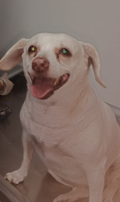 Luna