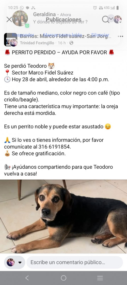 Teodoro
