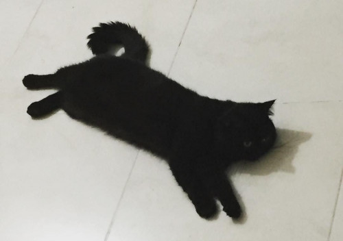 Negro