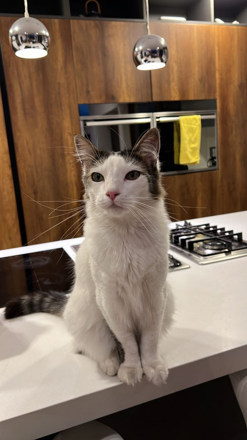 Leo