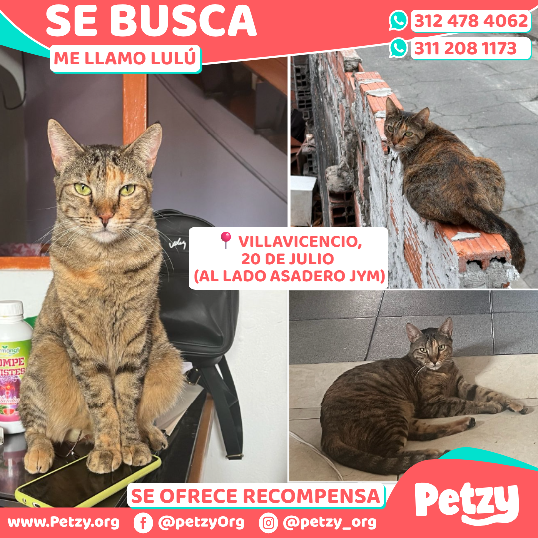 Lulú