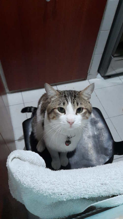 Ares