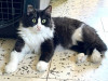 Foto de Osita en Barranquilla Atlántico #0