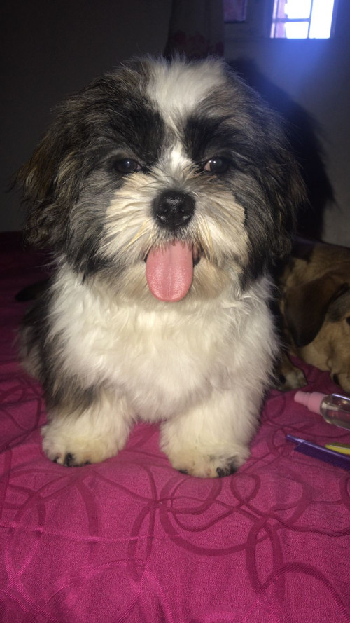 Romeo