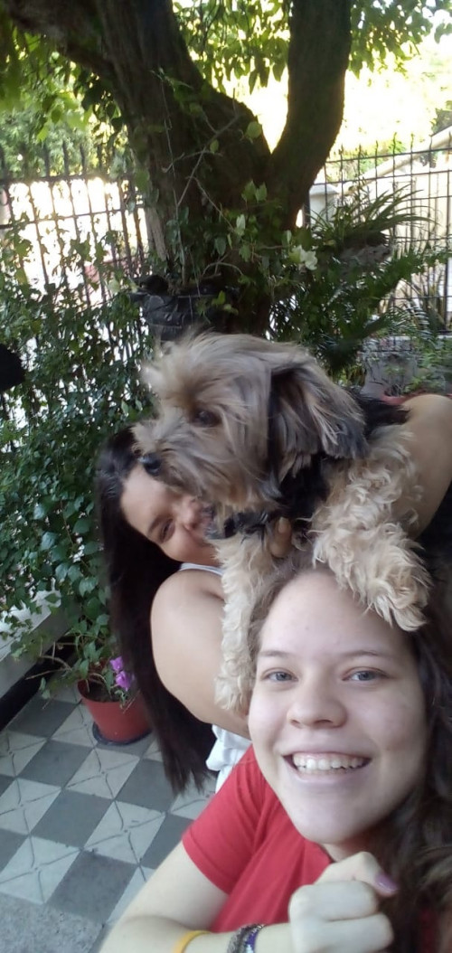 Mocca