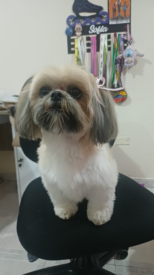 Mia