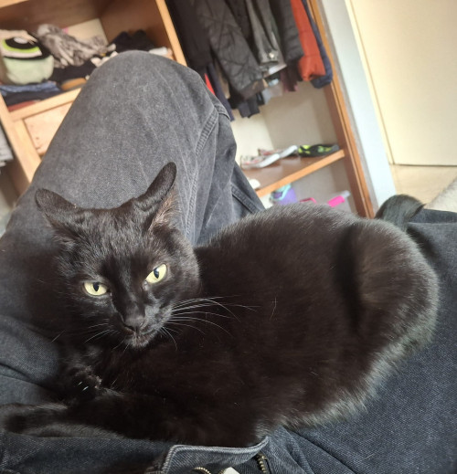 Salem