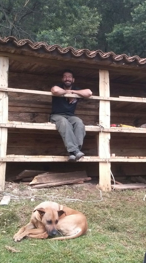 Razu