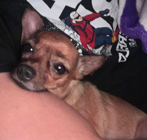 Molly