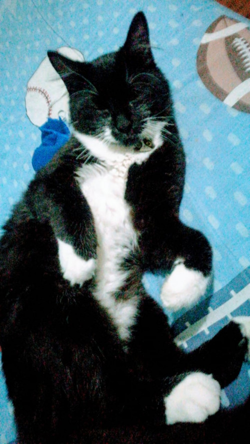Oliver