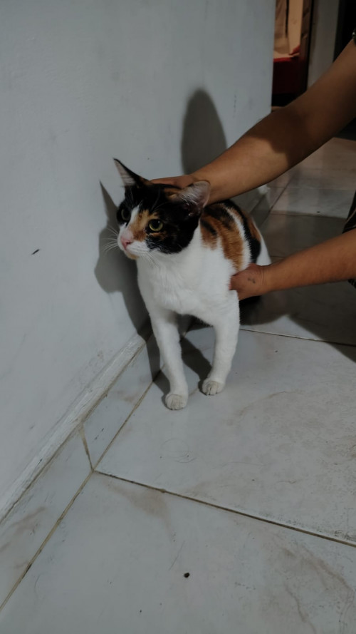 Luna