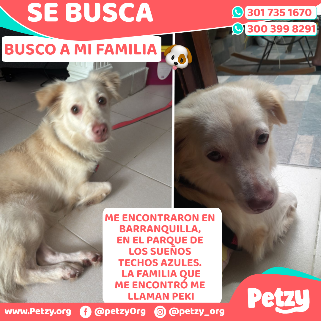 La Familia De Esta Perrita
