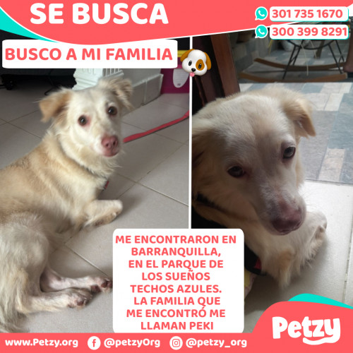 La Familia De Esta Perrita