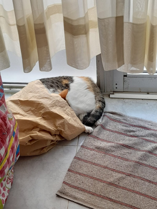 Nala