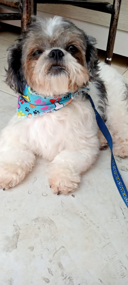 Bengie
