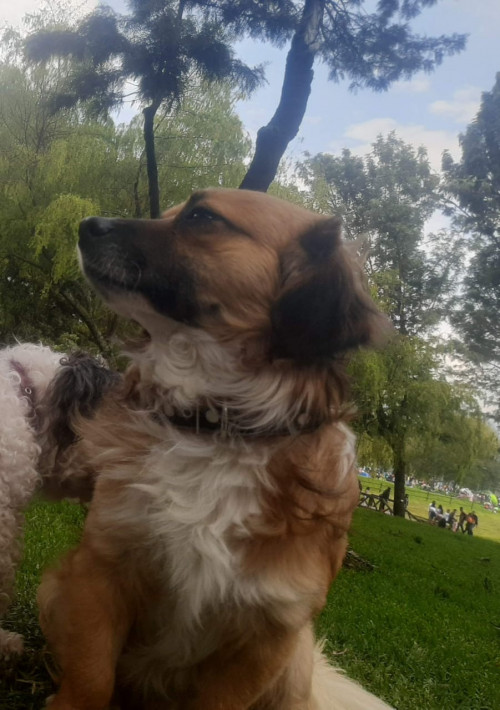 Zeus
