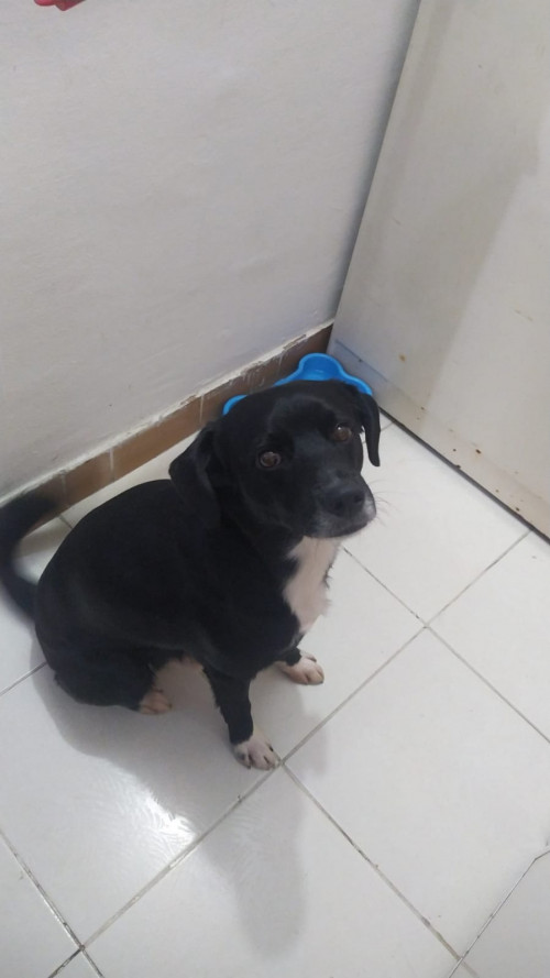 Lukas