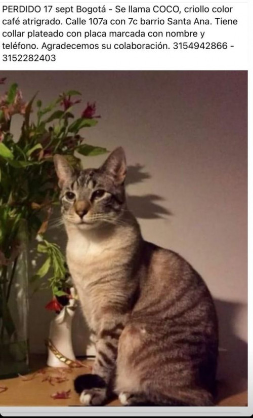 Coco