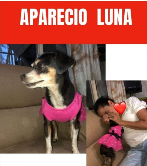 Luna