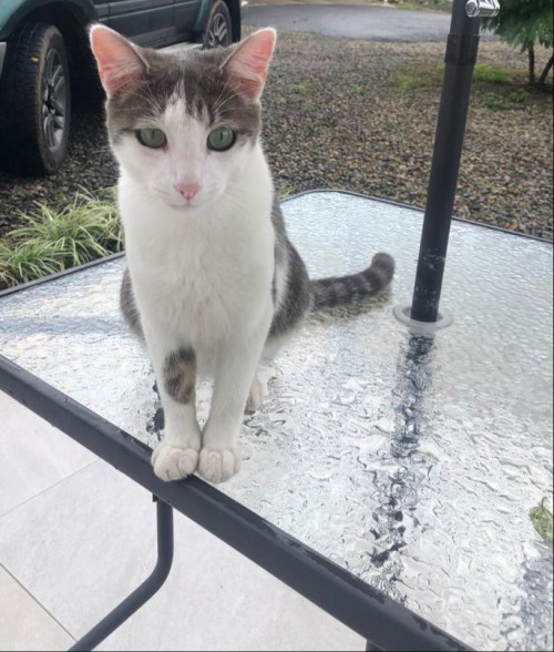 Max