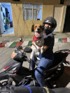Foto de Tokio en Cali Valle del Cauca #8