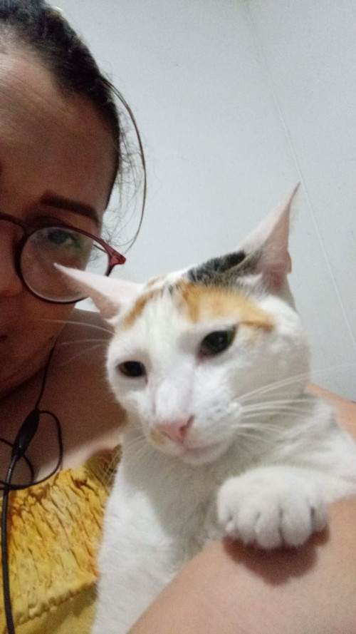Hera