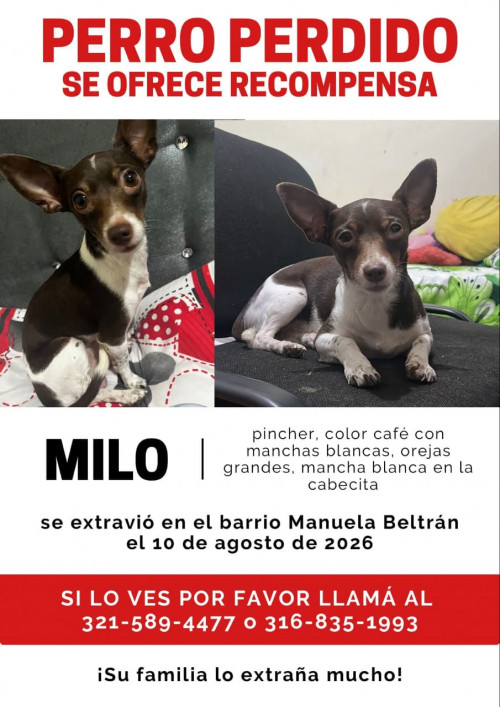 Milo