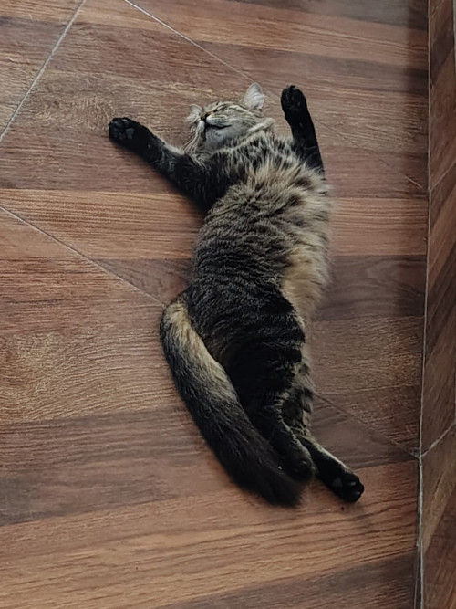 Charlie