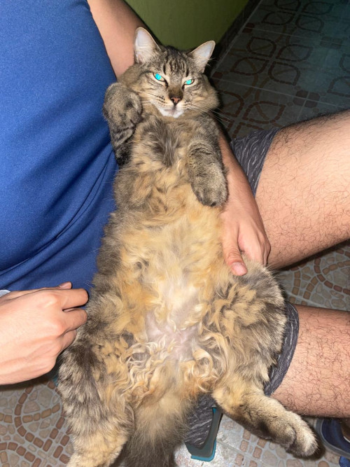 Gary