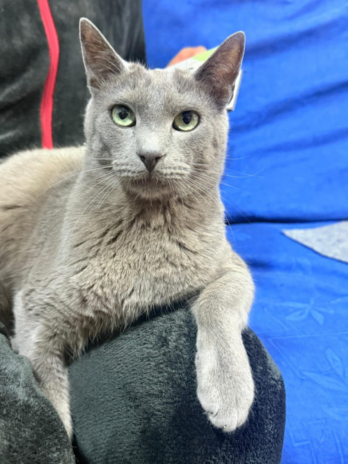 Ramón