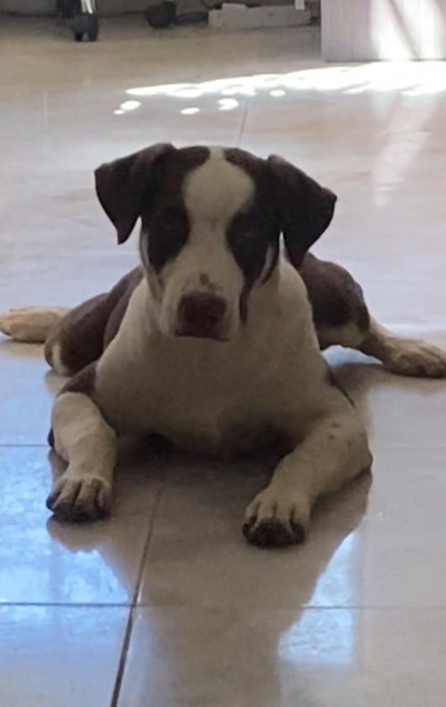 Tyson