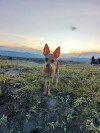 Foto de Wilson en Neiva Huila #2