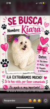 Foto de Kiara en Tuluá Valle del Cauca #3