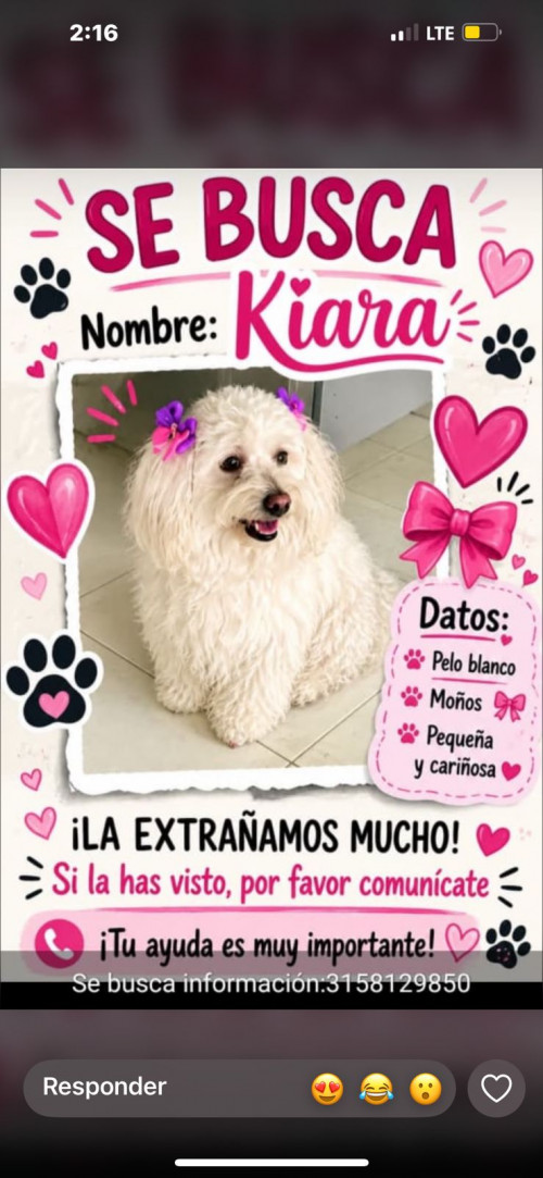 Kiara