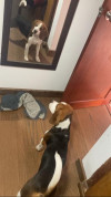 Foto de Romulo en  Bogotá #2