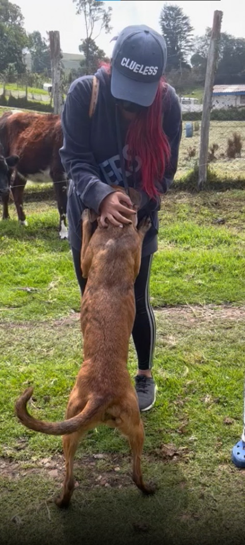 Nala