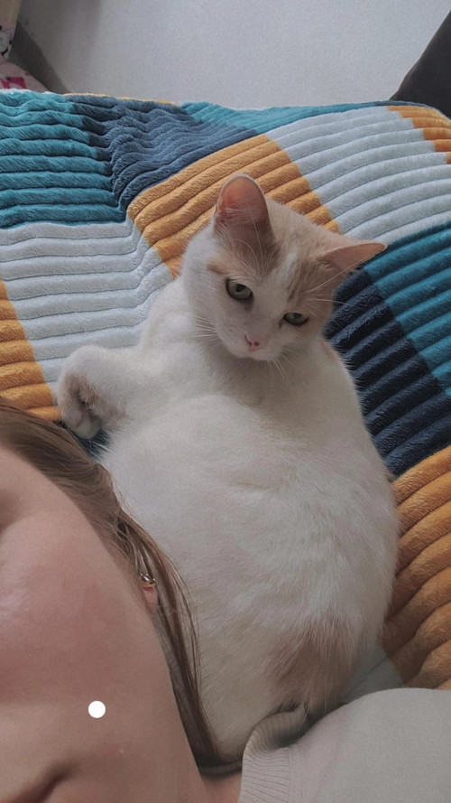 Sol