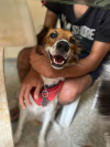 Foto de Tokio en Cali Valle del Cauca #3
