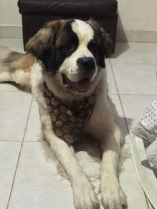 Cloe