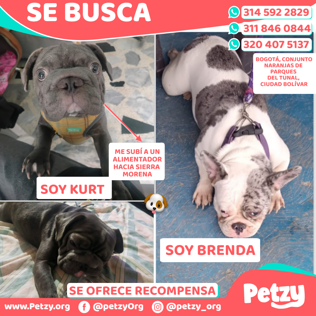 Brenda Y Kurt