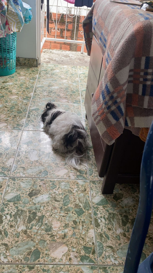 Abby