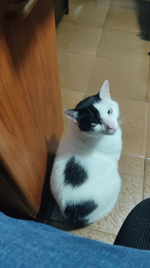 Hunter