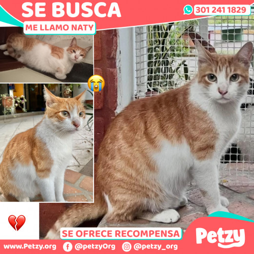 Foto de mascota Naty