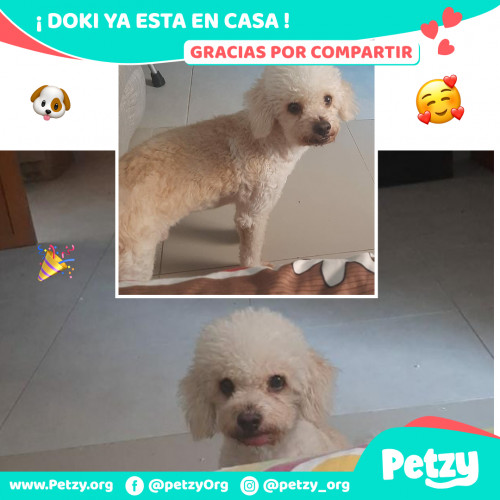 Foto de mascota Doki