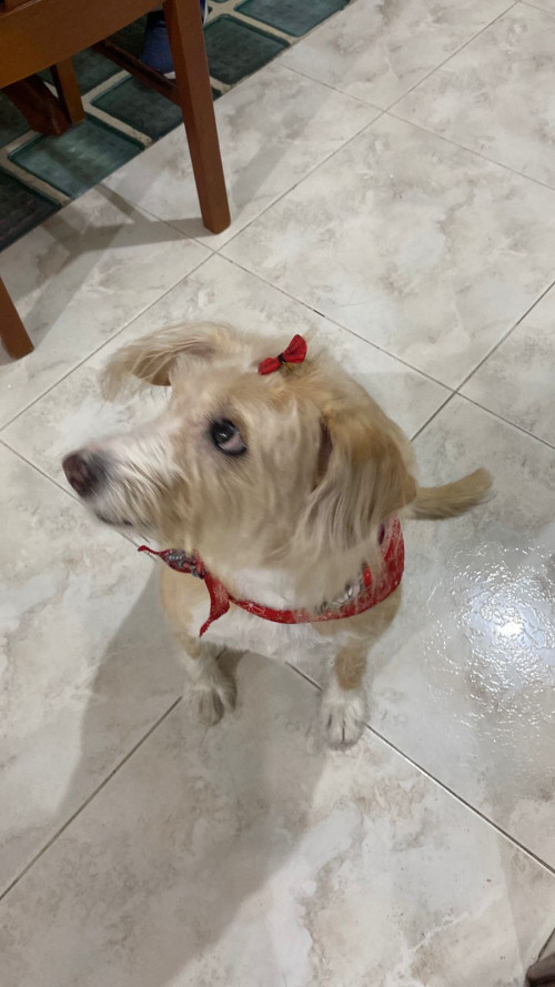 Muñeca