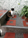 Foto de Iris en Medellín Antioquia #1