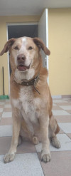 Foto de Joshi Fernando en Villavicencio Meta #4