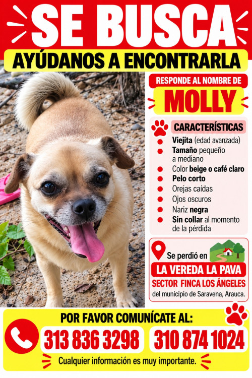 Molly