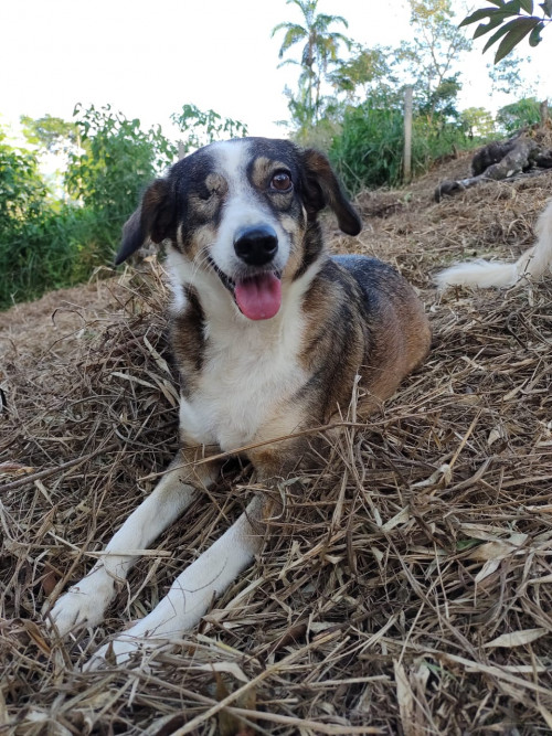 Kiara