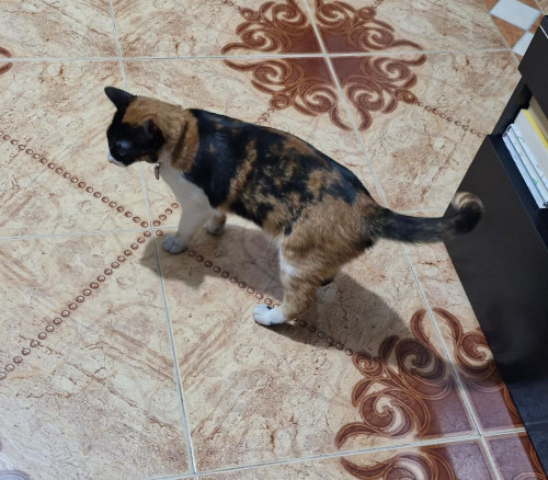 Luna